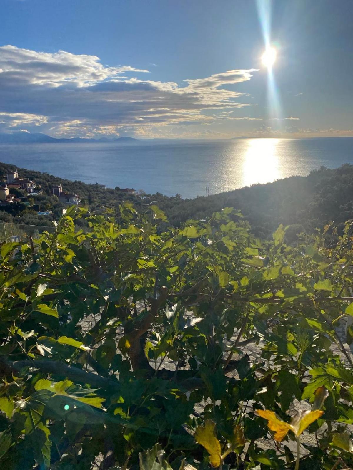 Apollo Romantic Sea View Villa Kivérion Eksteriør bilde